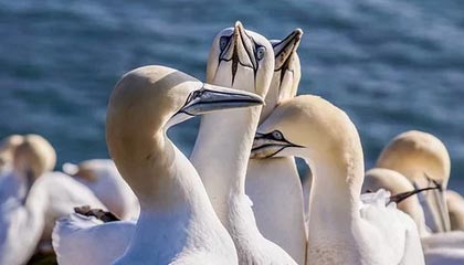 百富POS机售后电话多少？