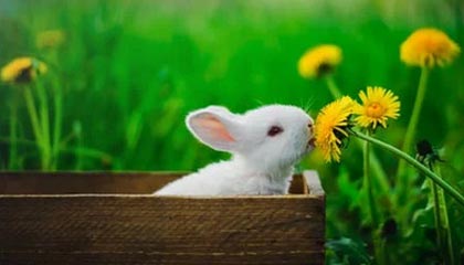 联迪POS机刷卡不到账客服热线多少？